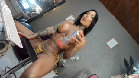 latinablakyts  11-01-2022
